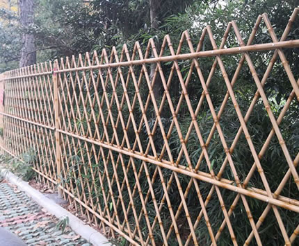 1614739454733350.jpg 11.jpg