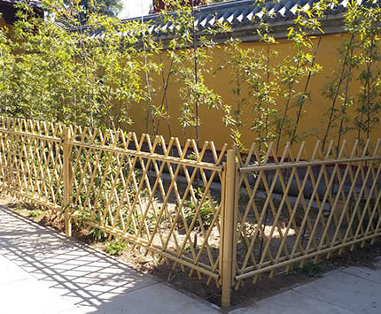 1614739486379536.jpg 33.jpg