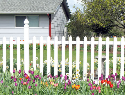 1615197298194566.jpg 11.jpg