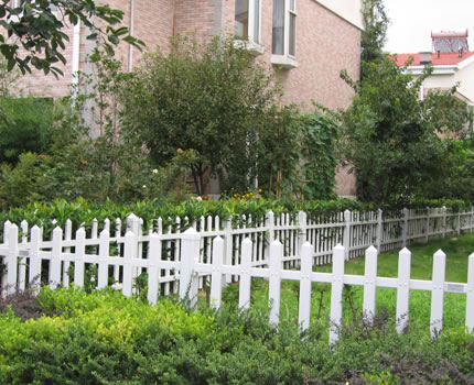 1615345297599581.jpg 11.jpg