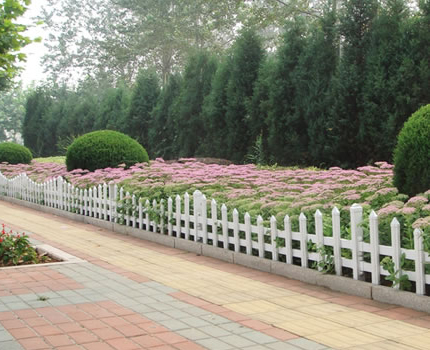 1615345895578221.jpg 11.jpg