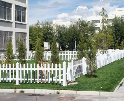 1615345909741137.jpg 33.jpg