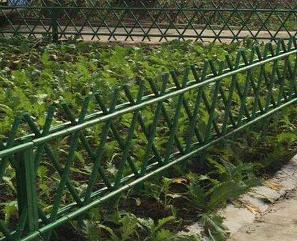 1615347641251150.jpg 11.jpg