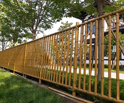 1615363461380073.jpg 44.jpg