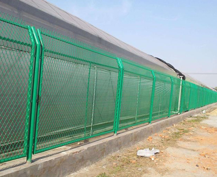 1615596576403183.jpg 77.jpg