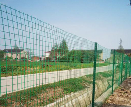 1615596598877986.jpg 99.jpg